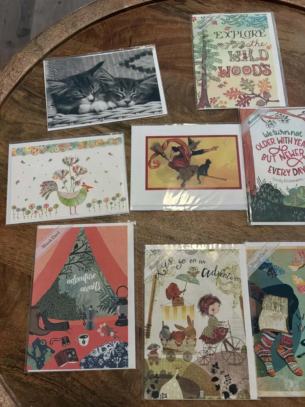 10x Assorted Greeting Cards Animal Trader Joe's Papyrus Multicolor New